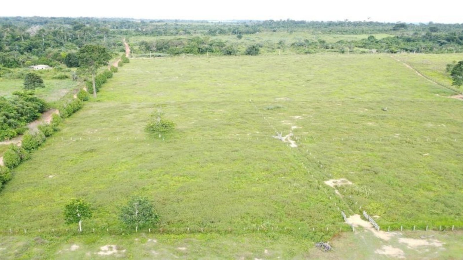Fazenda 1