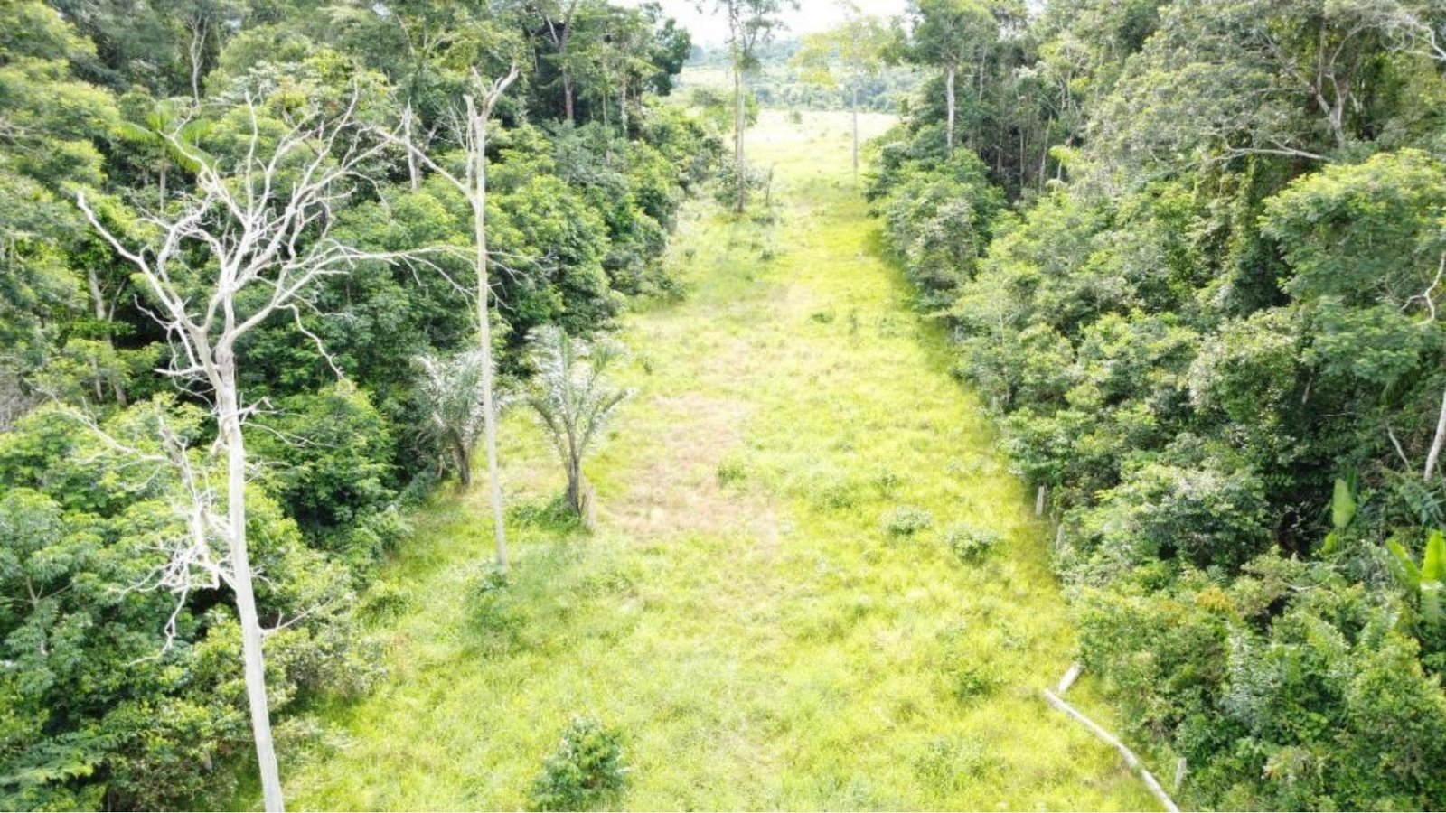 Fazenda 10