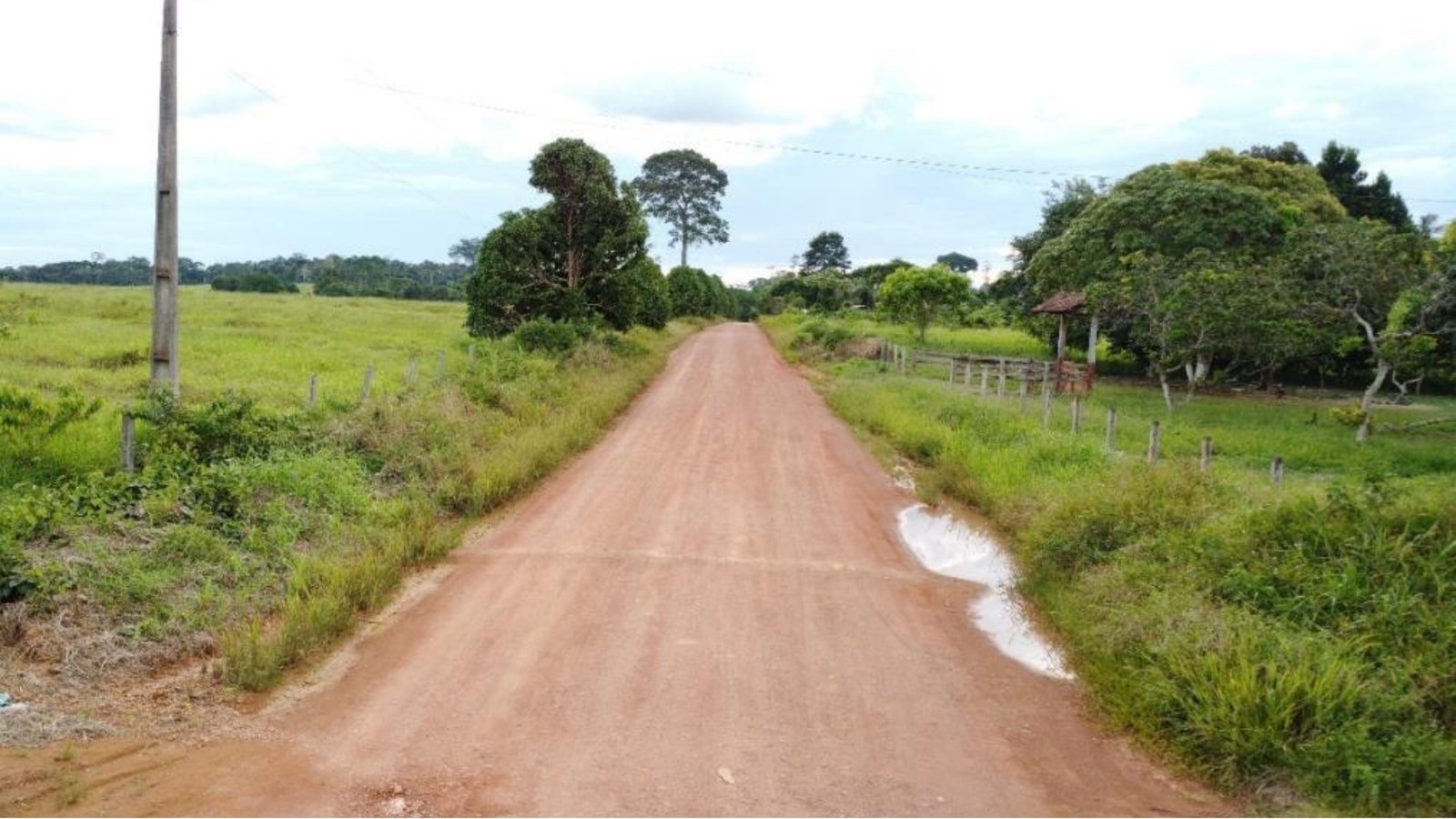 Fazenda 11