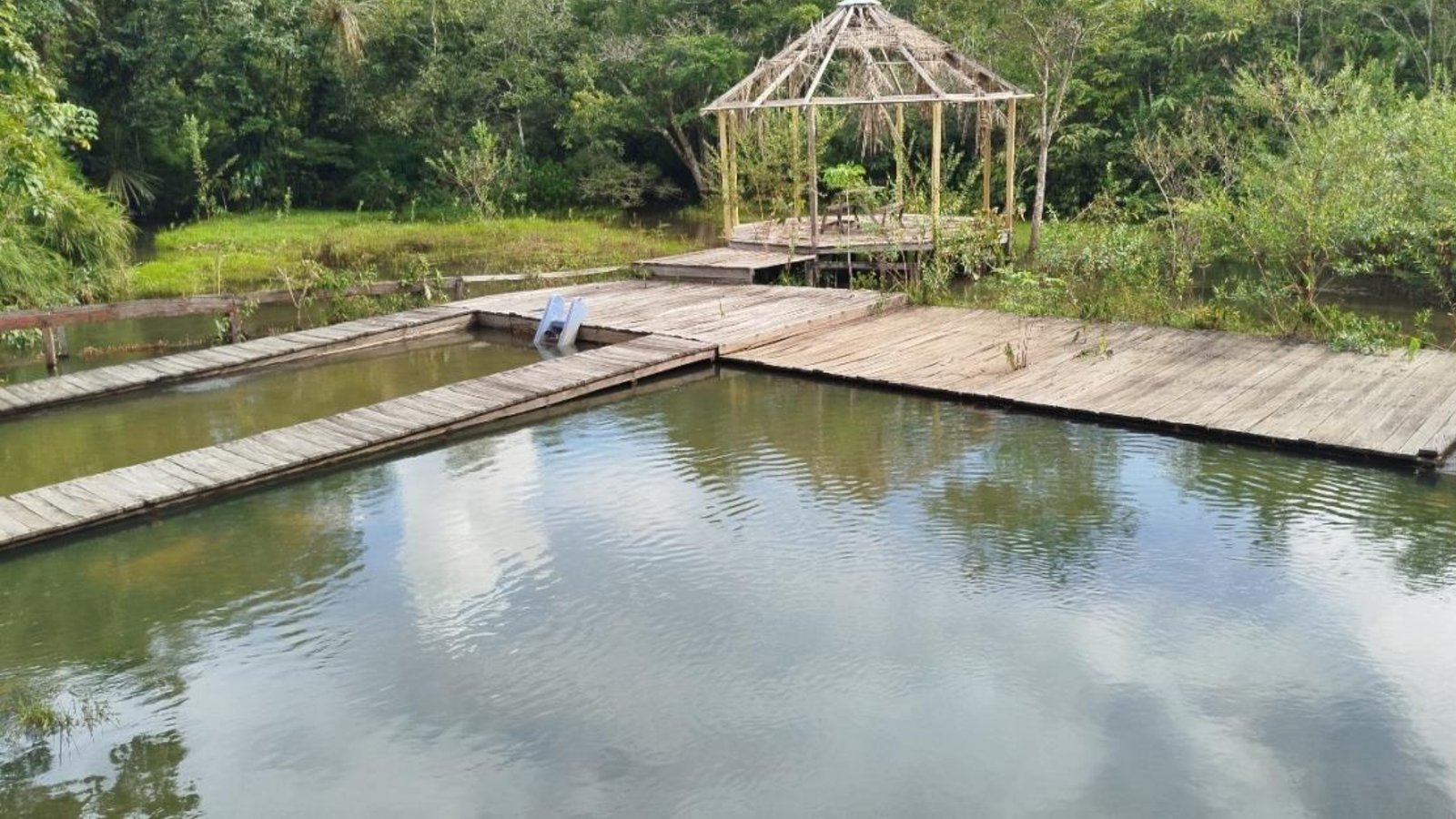 Fazenda 19
