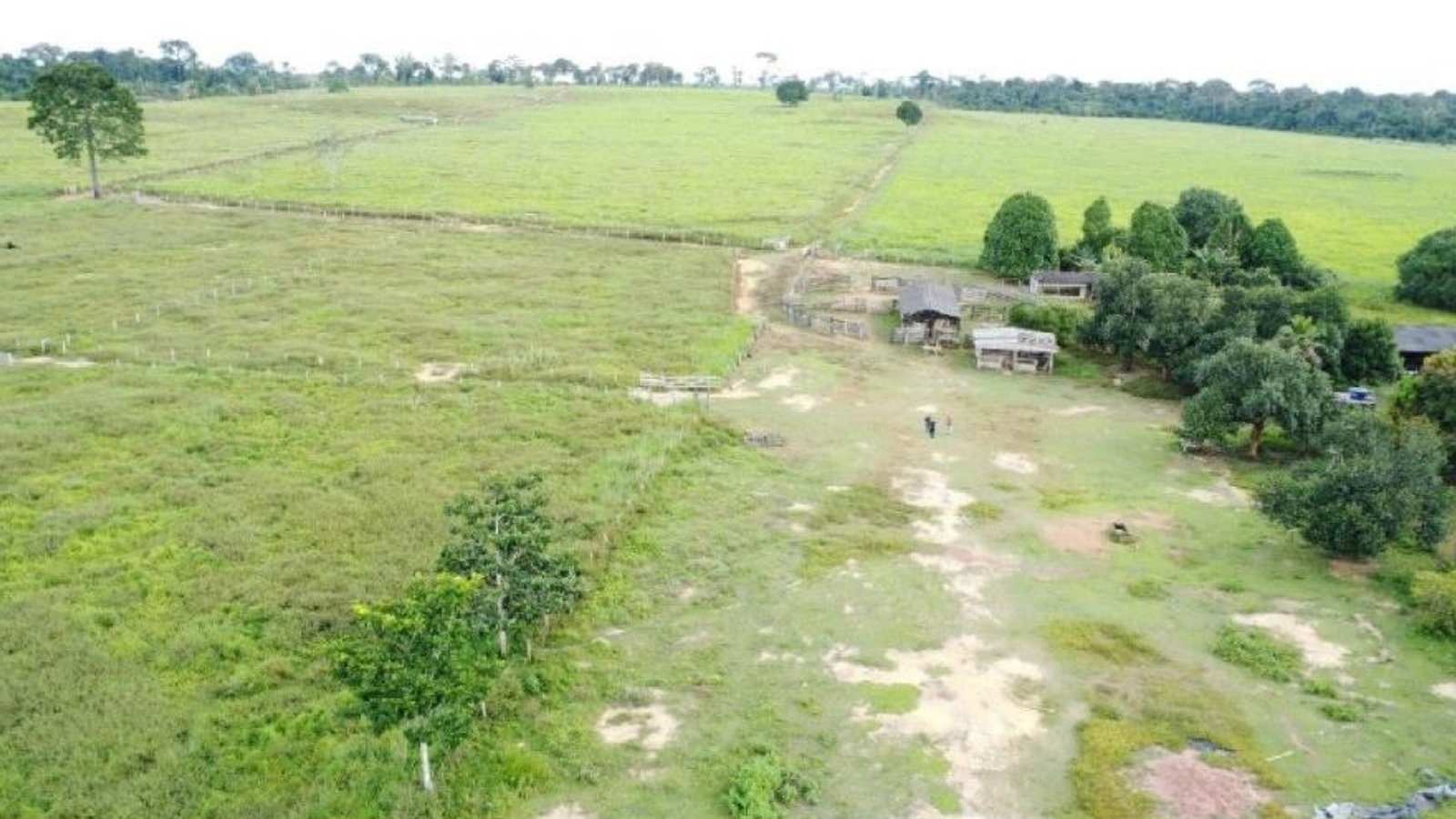 Fazenda 2