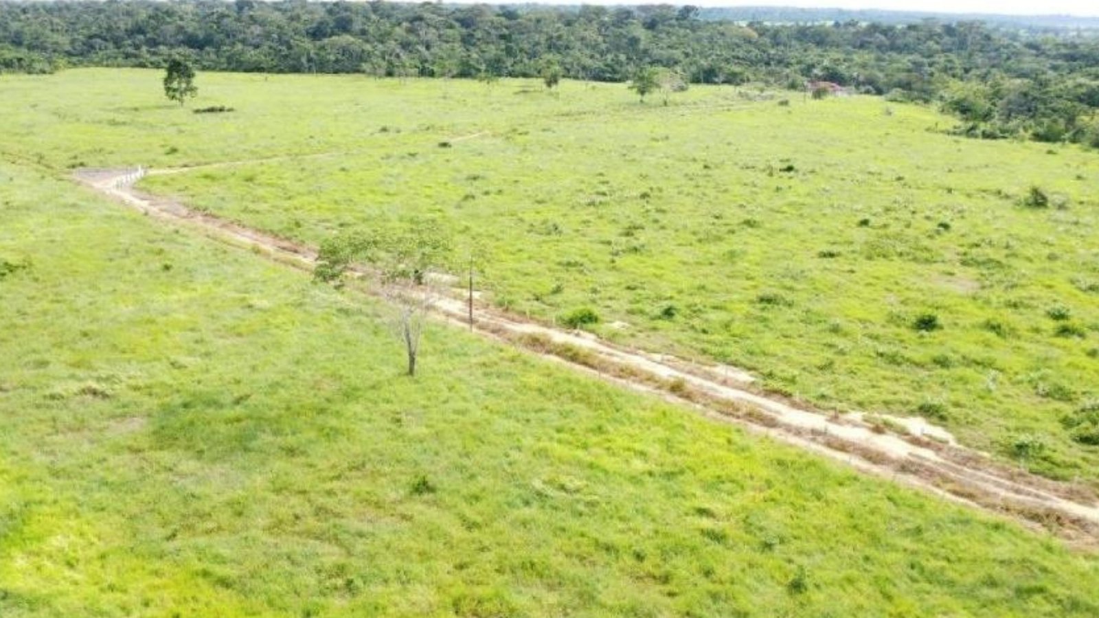 Fazenda 3