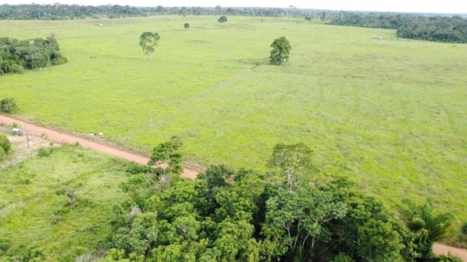 Fazenda 4