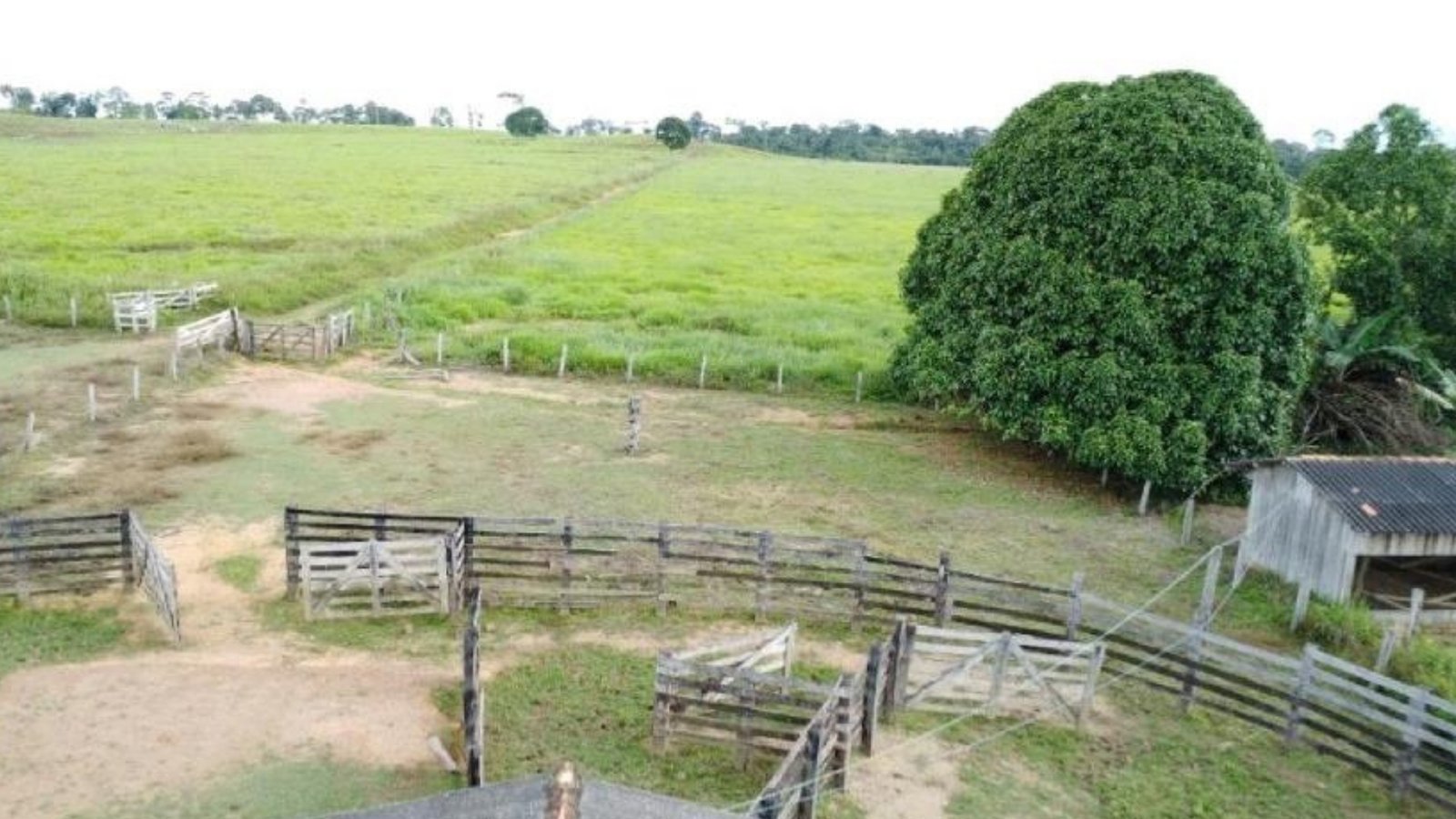 Fazenda 5