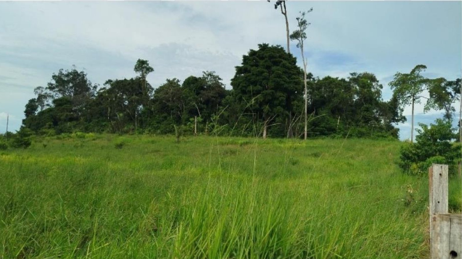 Fazenda 7