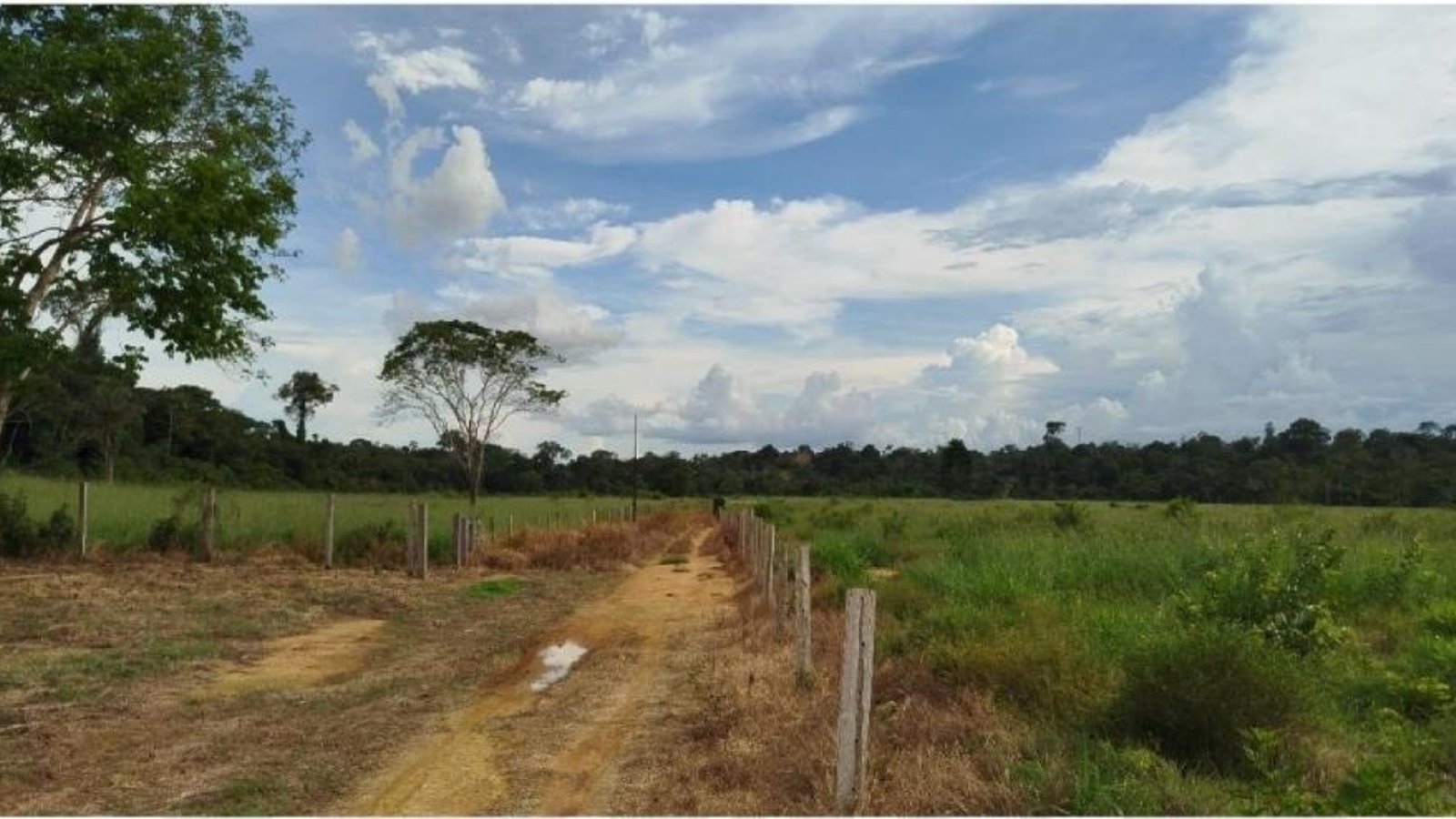 Fazenda 8