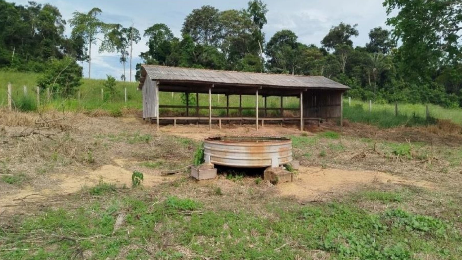 Fazenda 9