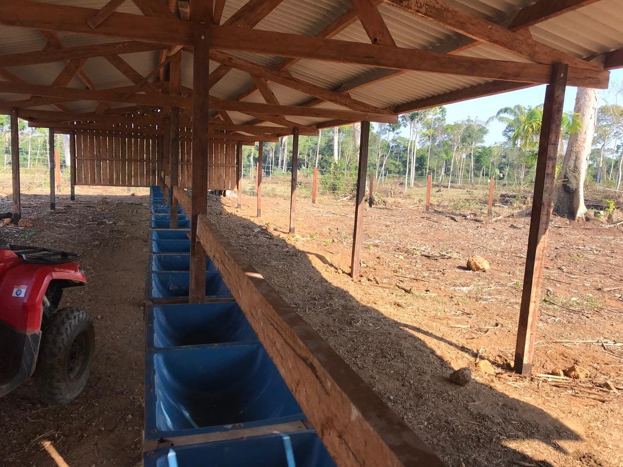 Fazenda 33