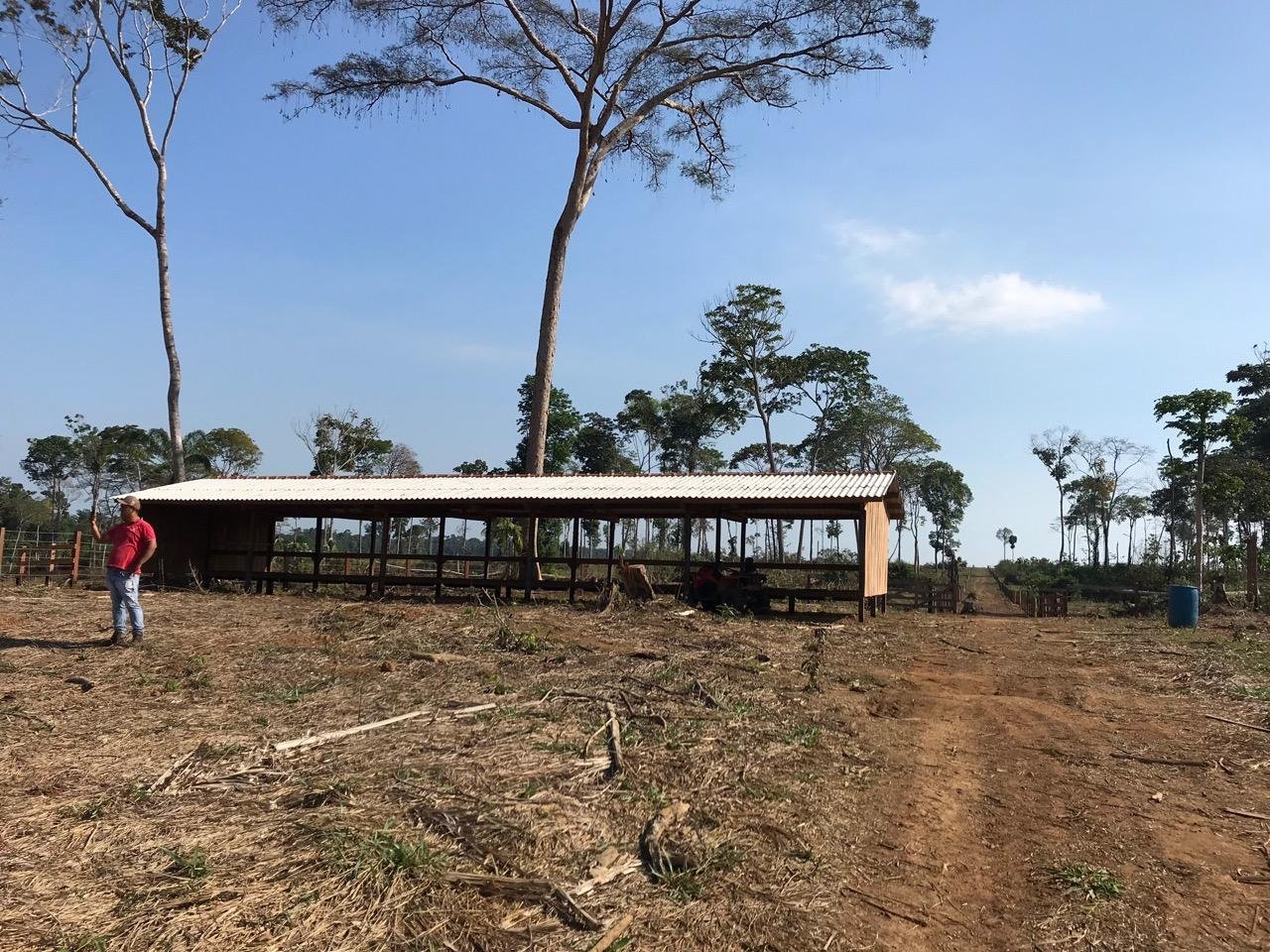 Fazenda 32