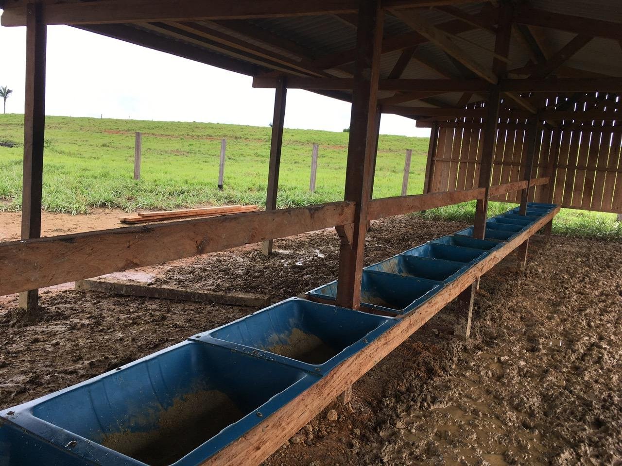 Fazenda 25