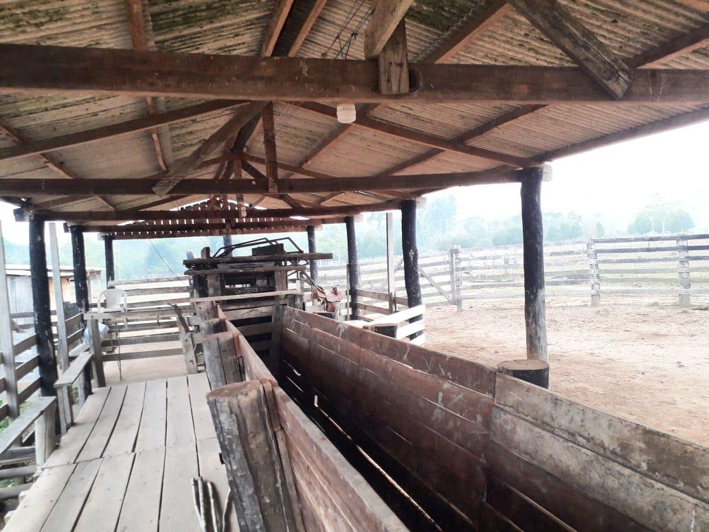 Fazenda 23